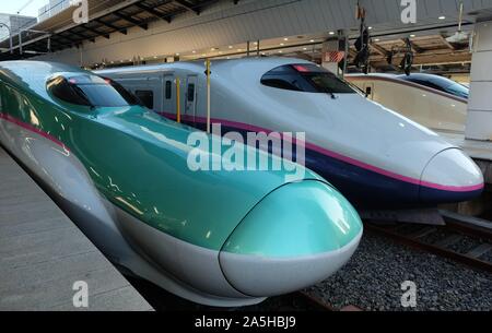 Tokyo, Japan - January 1, 2018: Shinkansen high-speed trains (bullet trains) parked at Tokyo Station in Tokyo. Stock Photo