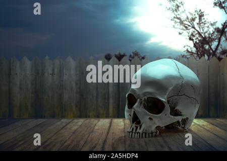 Human skull on the table with a wooden fence and moonlight background Stock Photo