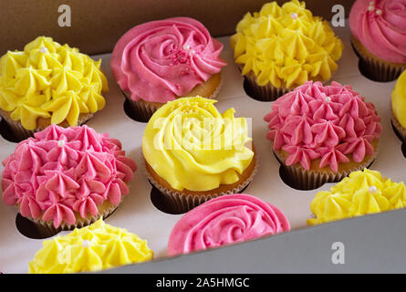 Delicious cupcakes in cardboard box . Stock Photo