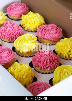 Delicious cupcakes in cardboard box . Stock Photo