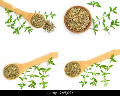 Set or collection dried thyme leaves with fresh thyme isolated on white background. Stock Photo