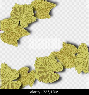 Illustration on background. Green leaves grapes, great design for any purposes. Floral botany art. Autumn background Stock Vector