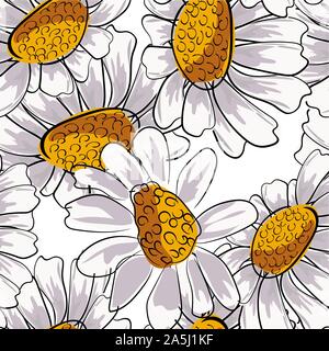 Chamomile seamless for decoration design. Floral botanical print. White daisy chamomile. Vector floral pattern. Flower seamless pattern Stock Vector