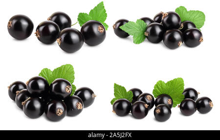 Set or collection black currant with leaf isolated on white background. Stock Photo
