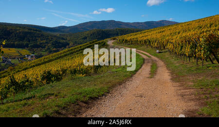 beautiful alsace in autumn above the village of soultzmatt Stock Photo