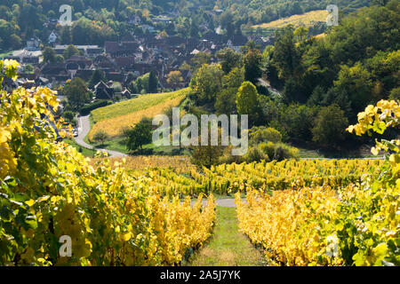 vineyards at Andlau in alsace in france Stock Photo