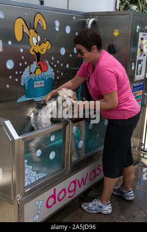 dog wash station coin operated
