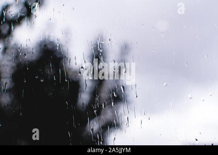 Raindrops on the glass with blurred tree in the background. Stock Photo