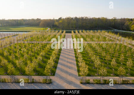 France, Loir et Cher, Loire Valley listed as World Heritage by UNESCO, Chambord, royal castle, the French gardens, planting of double-flowered wild ch Stock Photo