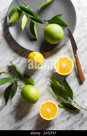 Dish with wild oranges on gray marble background. View from above. Stock Photo