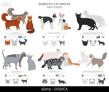 Domestic cat breeds and hybrids collection isolated on white. Flat style set. Different color and country of origin. Vector illustration Stock Vector