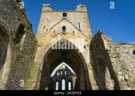 View of the ruins of the former Dunbrody Abbey in County Wexford in Ireland. Stock Photo