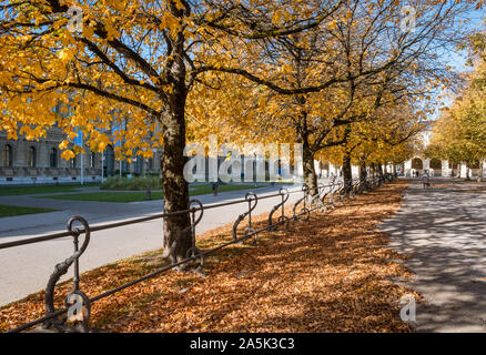 Hofgartenstraße, Munich, Bavaria, Germany. Trees with autumn colours in the Hofgarten park area, October. Stock Photo
