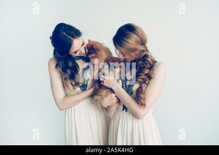 two beautiful Spitz in the hands of cute girls. wedding for dogs Stock Photo