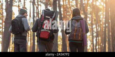 Group of friends with backpacks on hiking trip in forest Stock Photo