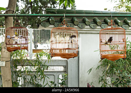 Songbirds in traditional bamboo cages at the Yuen Po Street Bird Garden in Mong Kok, Kowloon, Hong Kong. Stock Photo