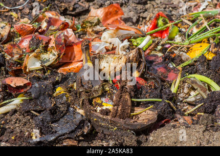 Composting pile of rotting kitchen fruits and vegetable scraps in the garden, for decomposting. Stock Photo