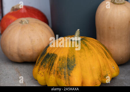 Still life of beautiful decorative pumpkins on the floor. Close-up and high angle view. Stock Photo