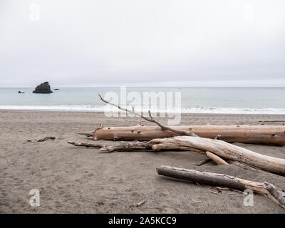 Driftwood on the beach at Point Reyes National Seashore Stock Photo