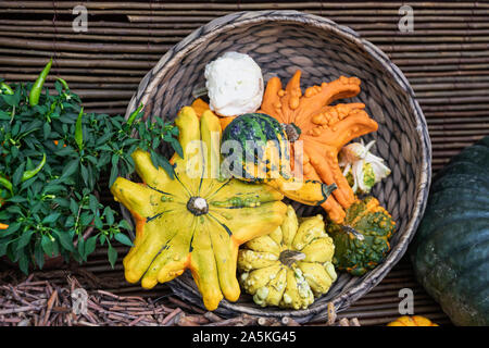 Autumn still life with assorted pumpkins, skwoshes, patty pan on rustic wooden background. Thanksgiving and Halloween concept, harvest, autumn Stock Photo
