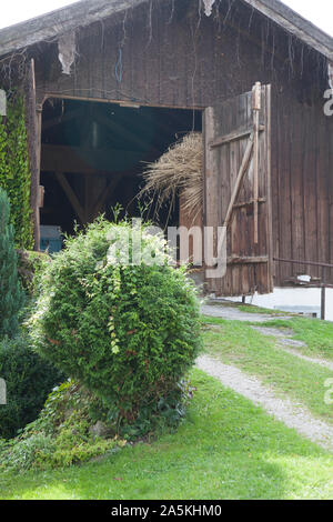 Old wooden barn in rural landscape Stock Photo