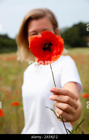 Young woman holding poppy in front of her face, in field of poppies, shallow focus Stock Photo