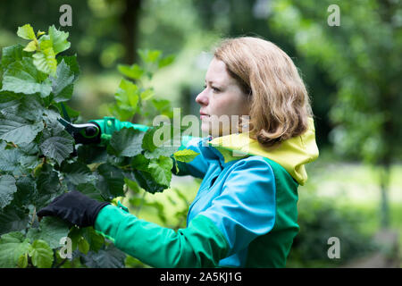 Mid adult woman pruning tree in her garden, shallow focus Stock Photo
