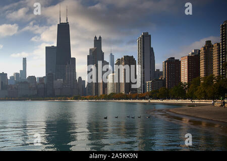 Chicago skyline over calm water with birds floating