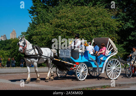 One of the many Horse & Carriages working in Central Park, New York. Stock Photo