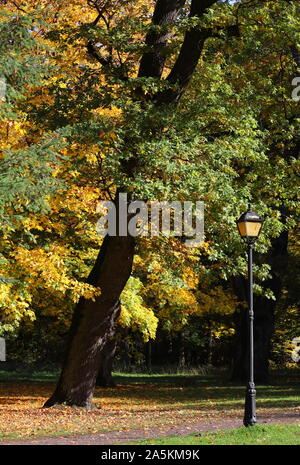 A wooden fence with sun rays falling on it Stock Photo - Alamy