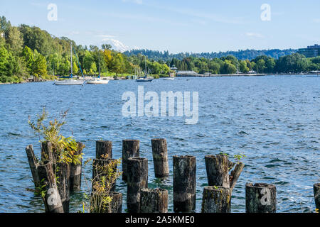 A view of the shoreline at Gene Coulon Park in Renton, Washington. Stock Photo