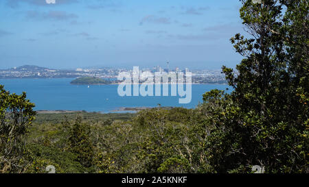 Rangitoto Island (Scenic Reserve) nearby Auckland, in New Zealand Stock Photo
