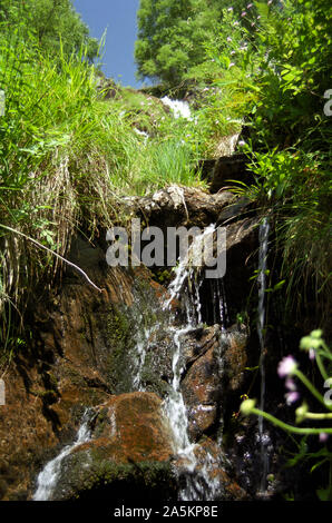 Close-up of a cascade on the stream known as Ruisseau d'Arbu near Port de Lers, Ariège, Occitanie, France, in the Pyrénées Stock Photo