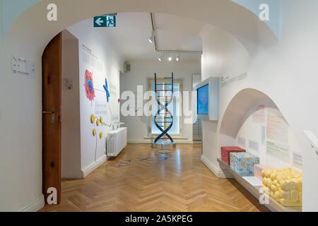 Estonian Health Care Museum, Tallinn, Estonia Stock Photo