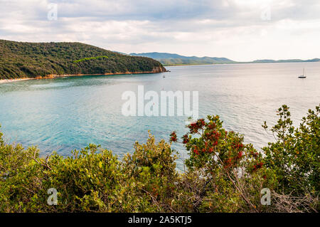 Scenic landscape view on Cala Violina beach and Tyrrhenian Sea bay surrounded by green forest in province of Grosseto in Tuscany, Italy Stock Photo