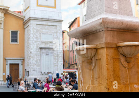 A pigeon sits on a water shelf on a public fountain in front of the Cathedral Sainte Reparate in Place Rossetti, on the French Riviera in Nice France Stock Photo