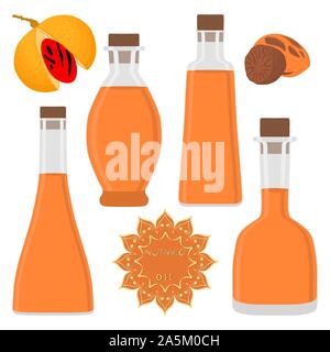 Illustration on theme big set different types nutmeg oil, bottles various size. Nutmeg pattern consisting of collection oil for organic health beverag Stock Vector