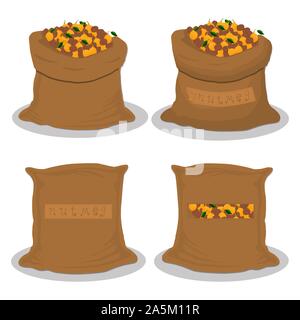 Illustration on theme big set different types spice nutmeg, sack various size. Nutmeg pattern consisting of collection spice meal from organic sacks. Stock Vector
