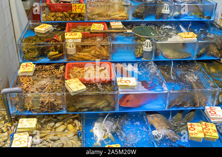 Live Fish And Shellfish In Tanks At A Chinese Seafood Restaurant Sai 