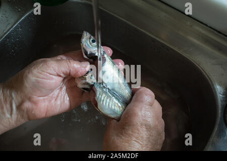 older woman's hands washing fish Stock Photo