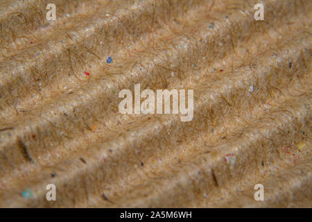 Macro shots corrugated recycle paper close-up Stock Photo