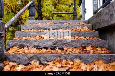 colourful autumn and fall leaves on stone steps in Sweden Stock Photo