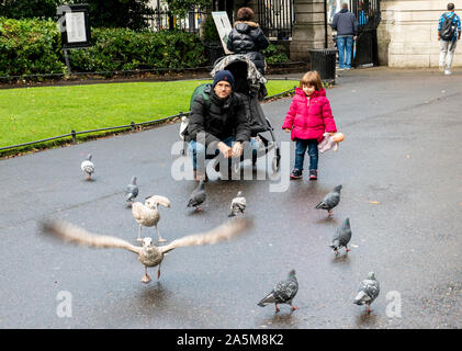 Tourists in park, little girl with father fascinated with pigeons, St Stephen's Green area, Dublin, Ireland, UK Stock Photo