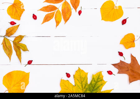 Autumn background with dry leaves and dog rose hips on white wooden table. Image with copy space, top view Stock Photo