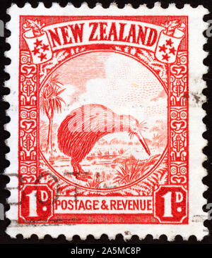 Kiwi on old New Zealand postage stamp Stock Photo