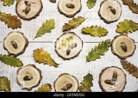 Autumn leaves pattern with acorns on white wooden background. Top view, flat lay. Stock Photo