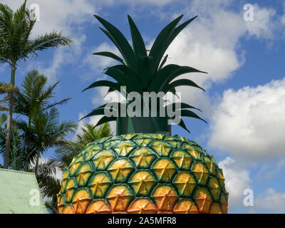 NAMBOUR, AUSTRALIA - NOVEMBER 23, 2017: close shot of the big pineapple on queensland's sunshine coast Stock Photo