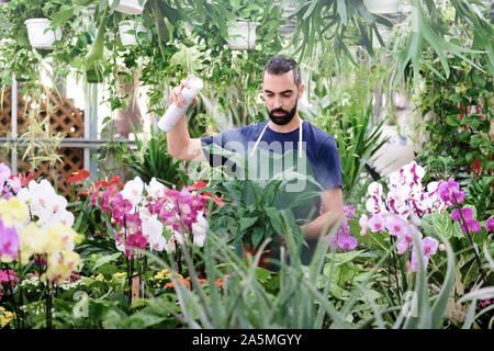 Man At Work As Florist In Flower Shop Using Spray Stock Photo