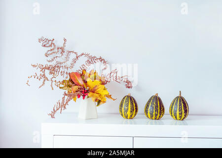 Composition of Three decorative striped pumpkins and vase with bouquet of falling leaves and fern on a white chest, table on a background of white wal Stock Photo