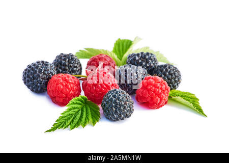 Mix berries with leaf. Various fresh berries isolated on white background. Raspberry, Blackberry. Stock Photo